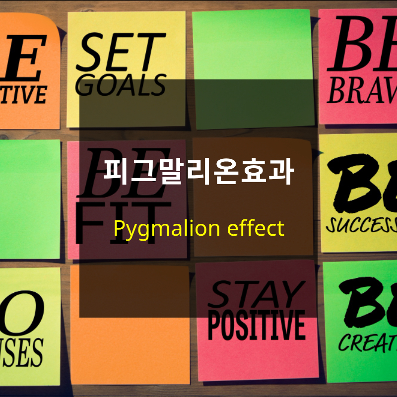 피그말리온효과