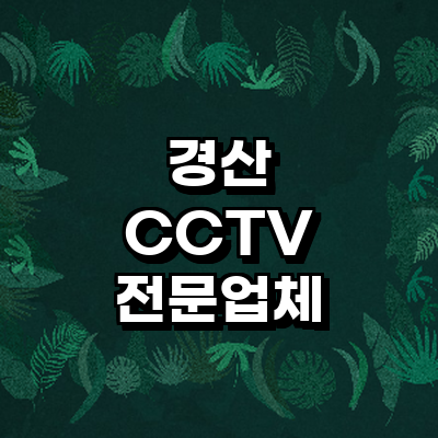 경산시 cctv