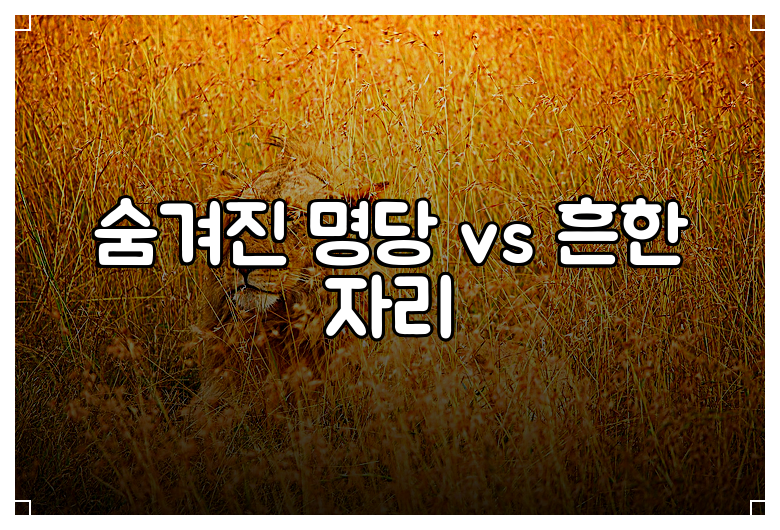 숨겨진 명당 vs 흔한 자리