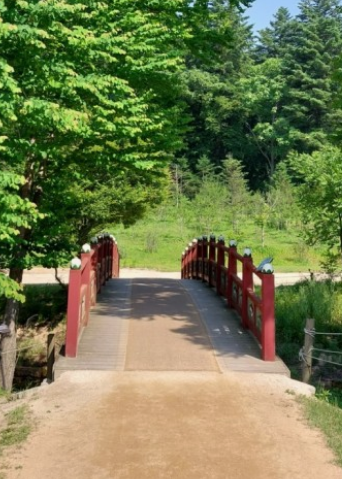 전국수선화명소