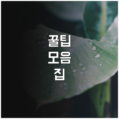 2025 수산장비 지원 대상 금액 신..