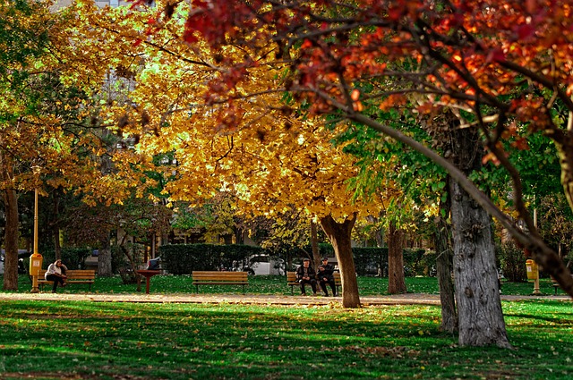 🎃👻 대전 가을밤이 호박빛으로 물드는 순간! 