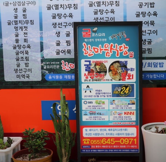 생방송투데이 투데이이슈 통영 굴요리 전문점 굴삼합 한마음 식당