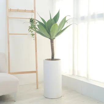 화분 여행 전 관리 급수준비 조명타이머 통풍점검 안심외출 체크_2