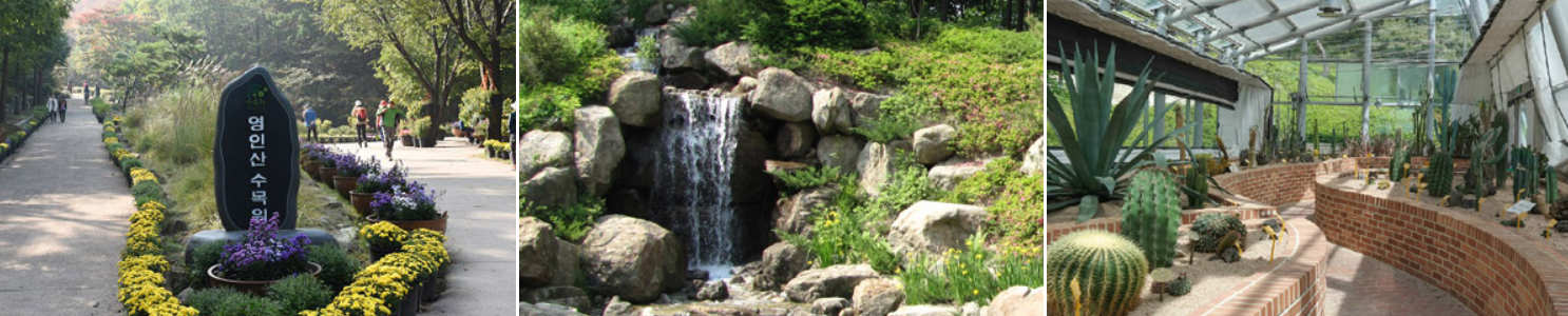 아산 영인산 수목원