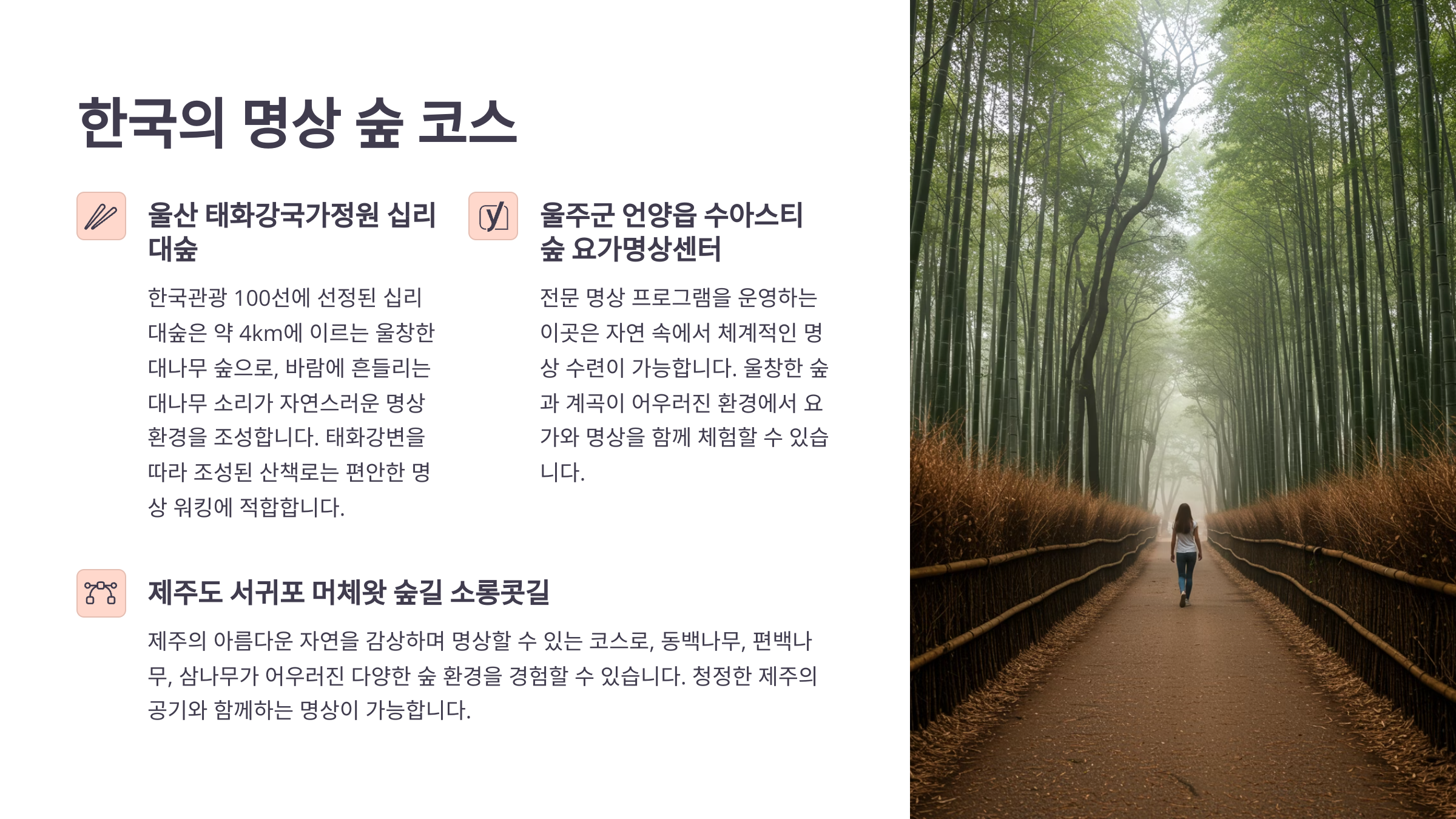 🇰🇷 한국의 명상 숲 코스