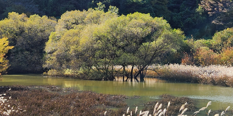 문경 돌리네습지