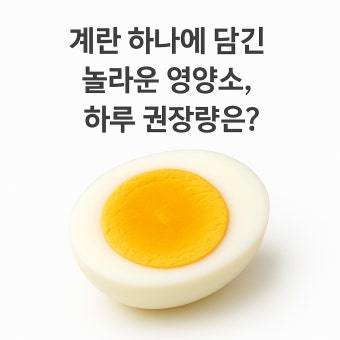 계란 하루 권장량