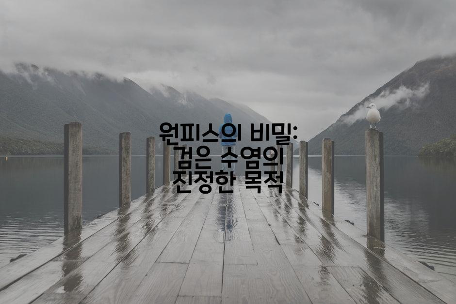 원피스의 비밀: 검은 수염의 진정한 목적