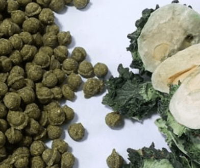 먹는방법-여주환1