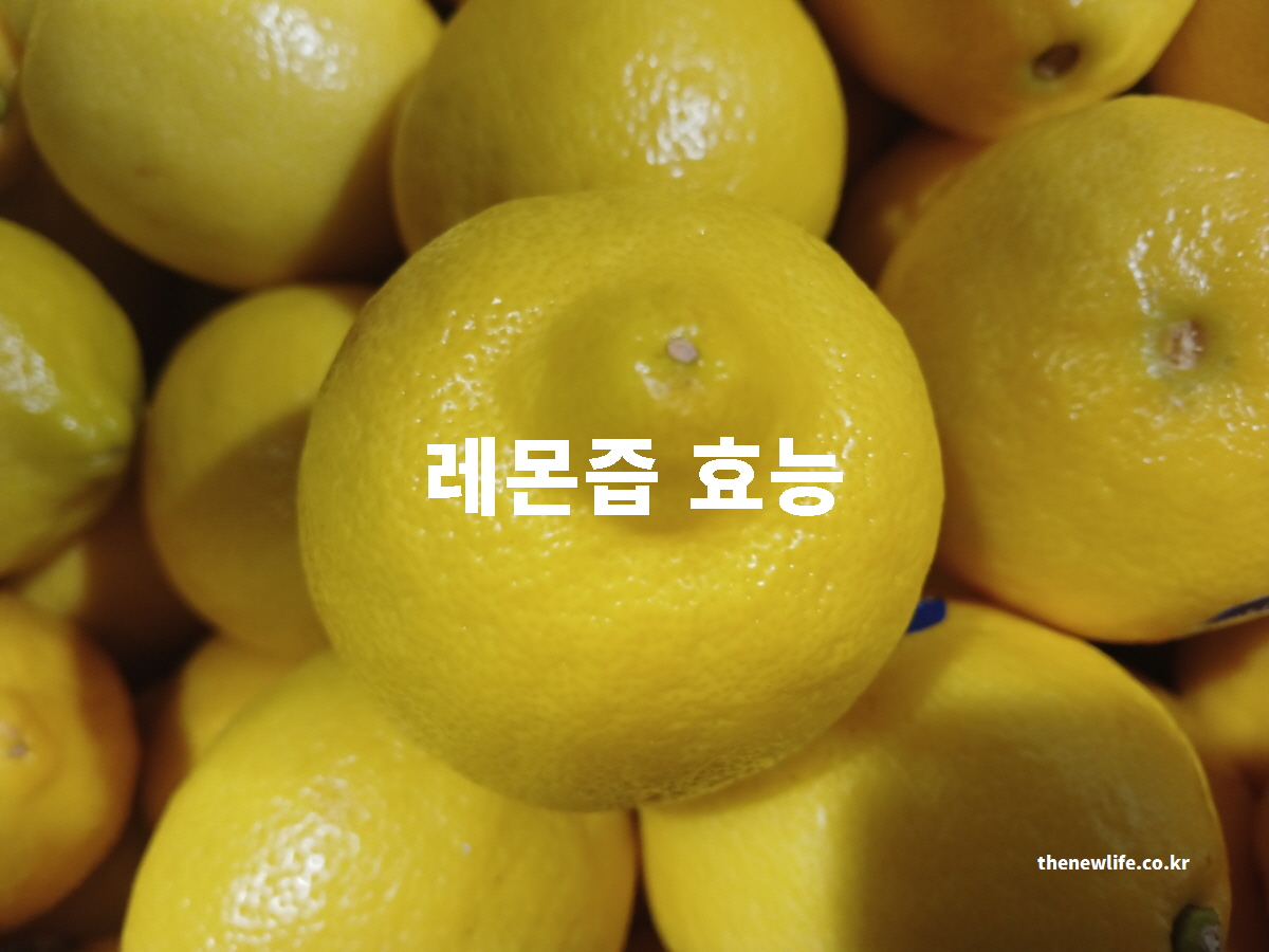 레몬수 효능 대표 실사진