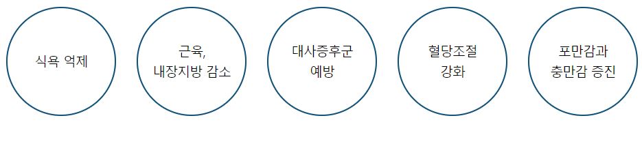 삭센다-효과
