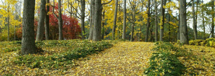 화성 우리꽃식물원