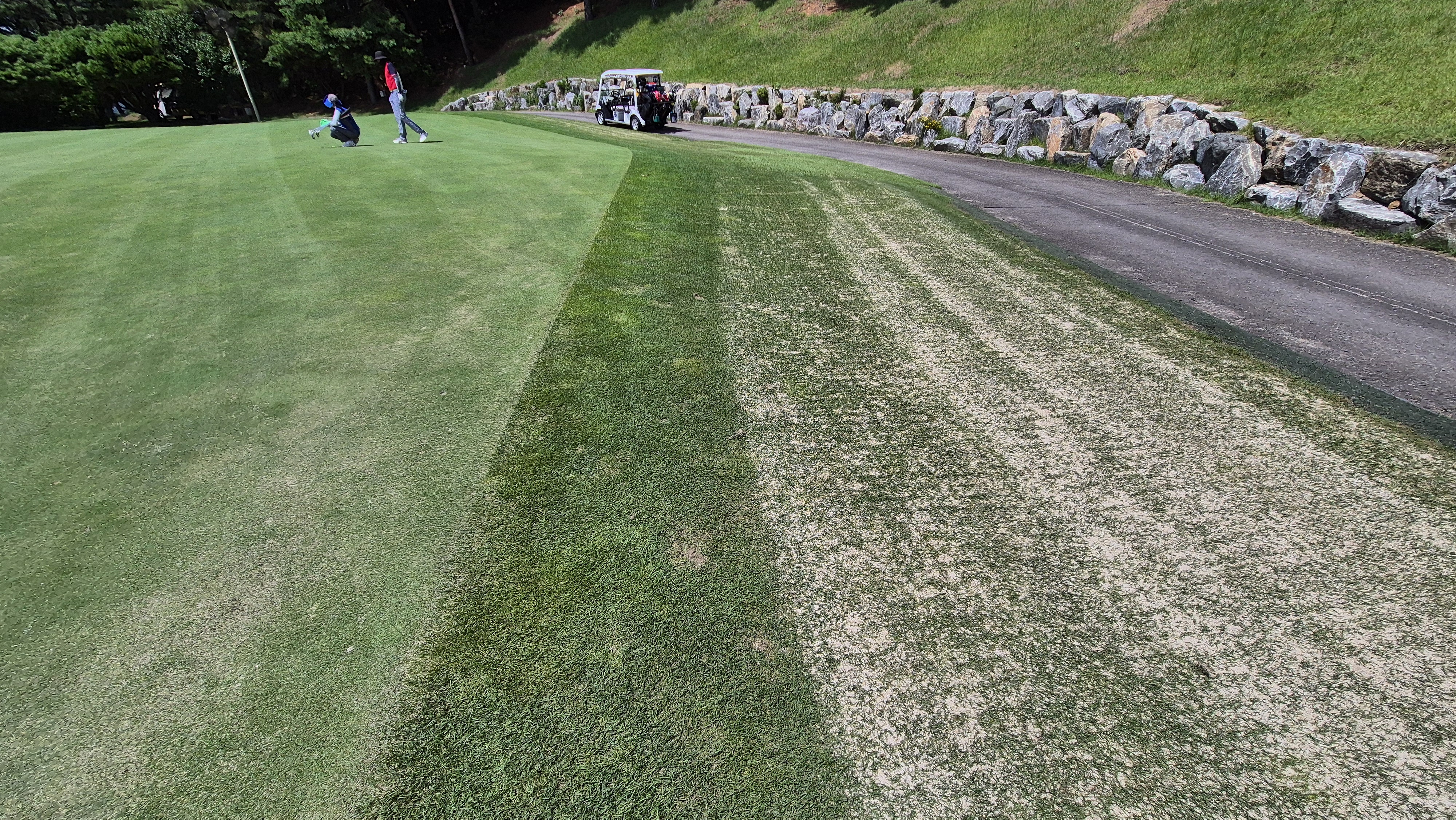 골프존카운티 화랑 라운드 후기