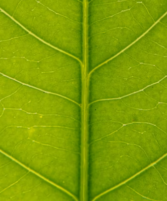 세계에서 난리난 창업아이템 알아보기