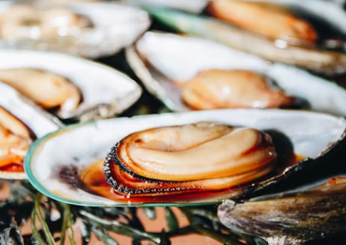 오메가 3 많은 음식