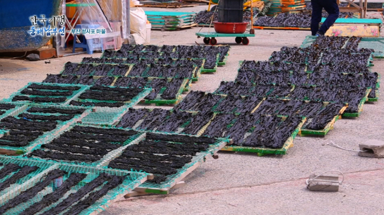 미역_주의사항