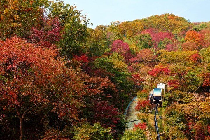 단풍명소 화담숲 온라인 예약 입장료
