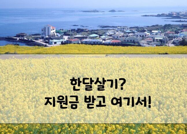 제주도 한달살기