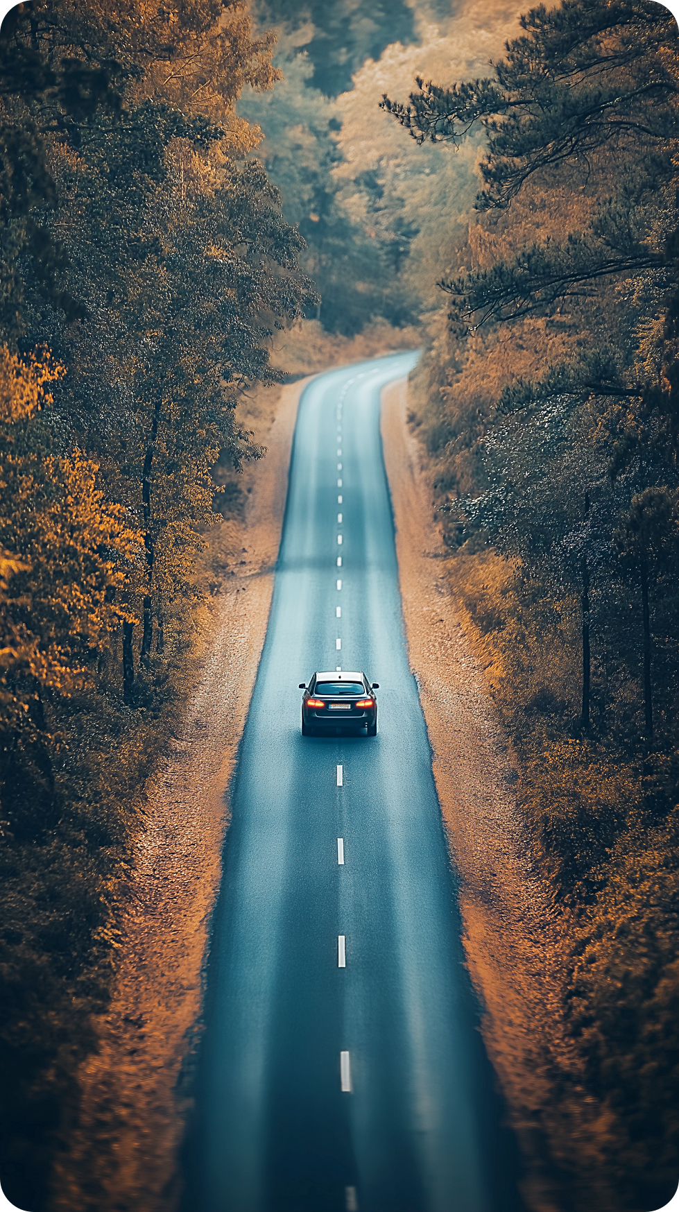 고속도로 통행료 미납 조회 및 납부 방법 