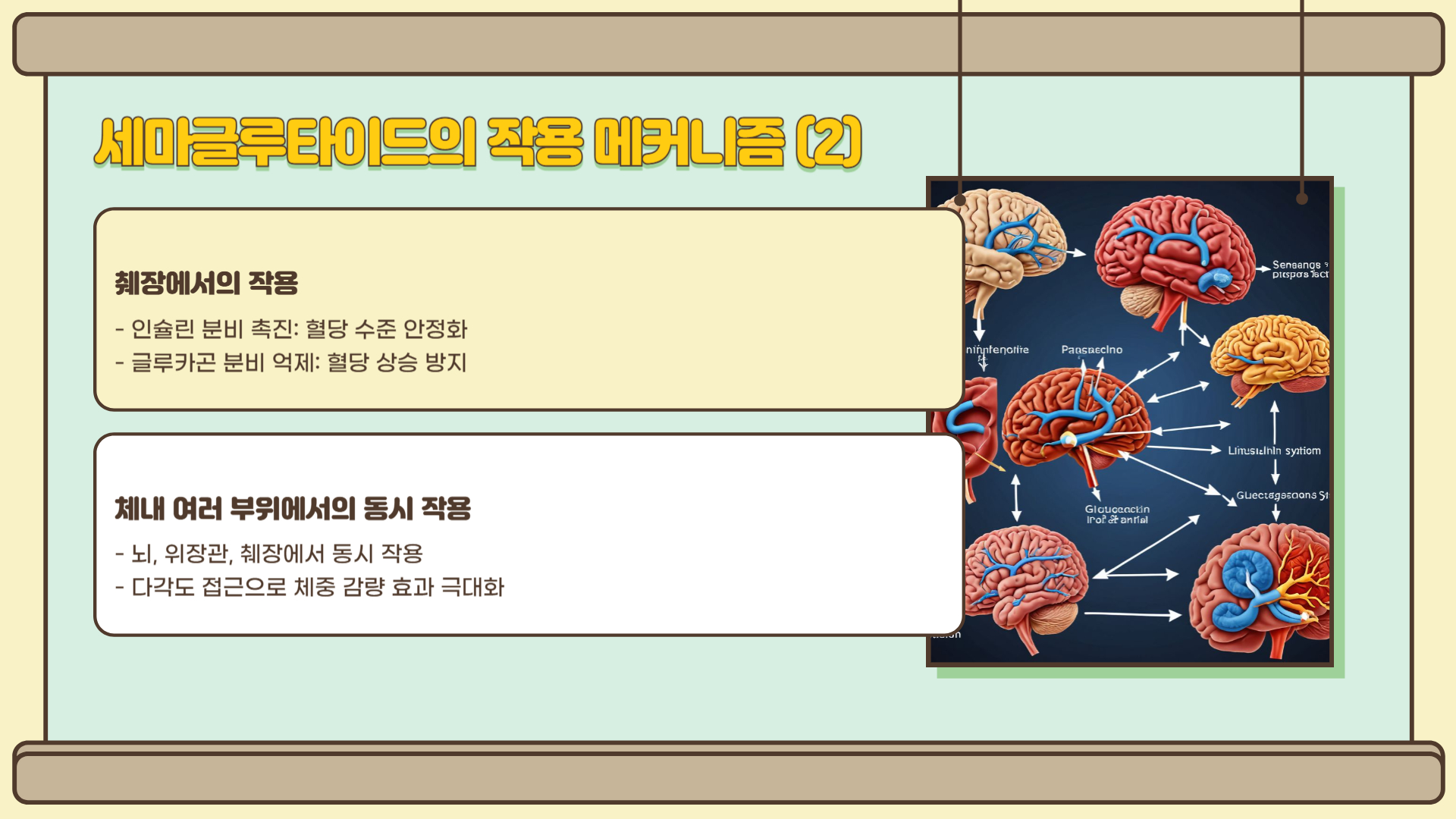 위고비 성분 체중 감량 영향