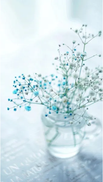 휴대폰 화면이 흑백으로 나올때 해결 방법 정리본_23