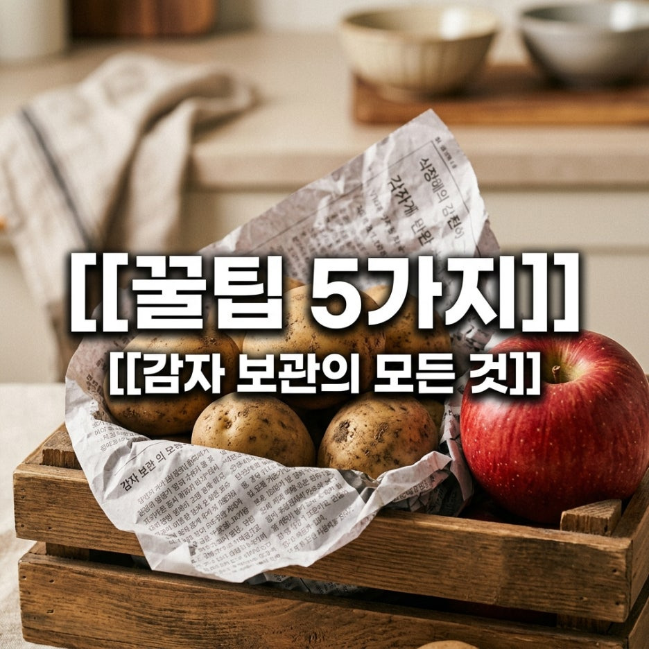 감자-보관방법