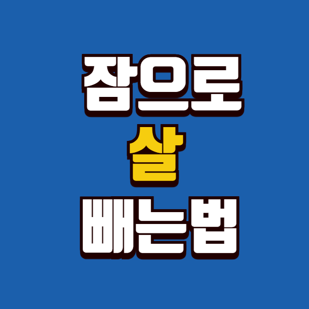 수면과 다이어트의 상관관계: 잠으로 살 빼는 법