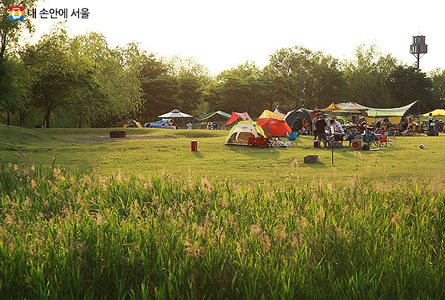 서울 노을캠핑장

서울 마포구 하늘공원로 108-1 (상암동)