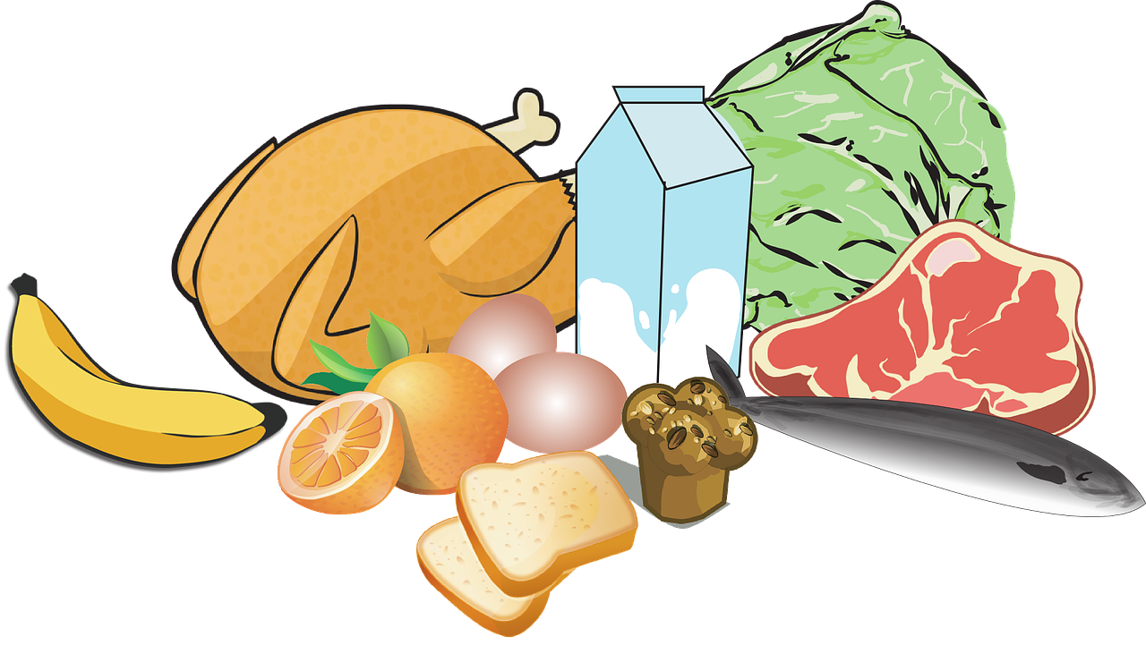 뼈를 살리는 주요 영양소와 식품들