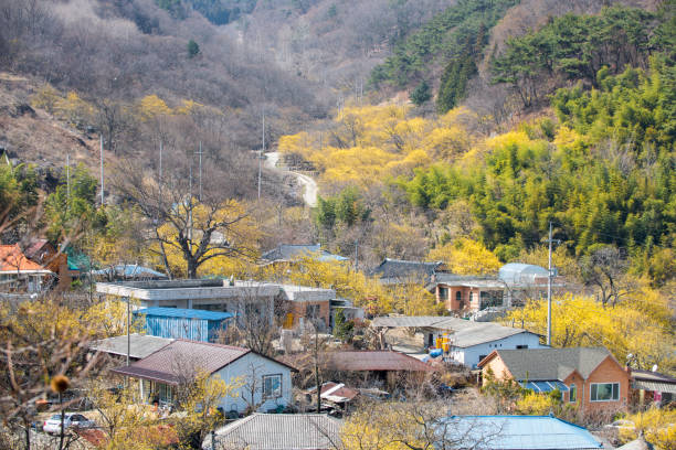 감성 여행으로 떠나는 화순 세량지와 폐광촌 포토스팟