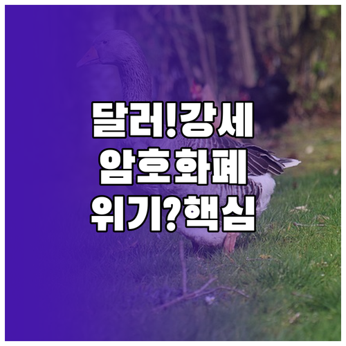 달러 강세 Fed 정책이 주도한 암호..