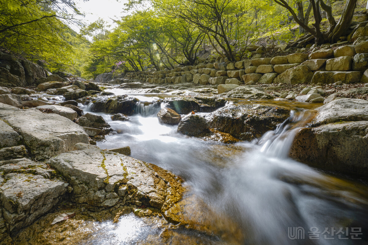 대운산