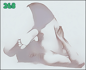 소소한요가 클래스