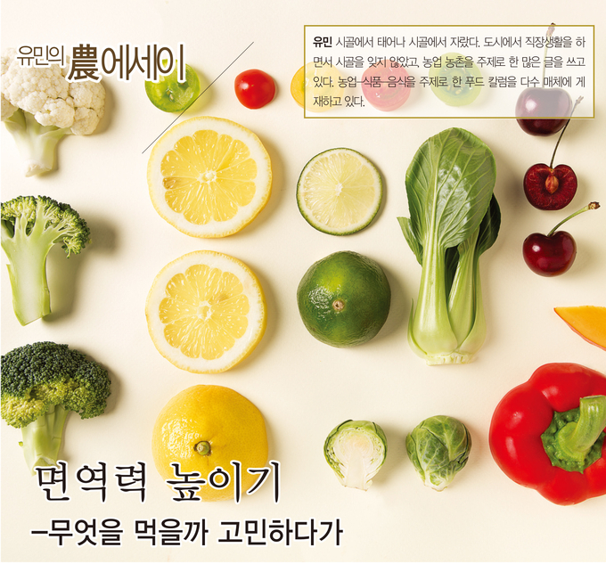 면역력 영양제