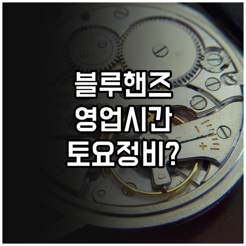 현대자동차 블루핸즈 영업시간과 토요일..