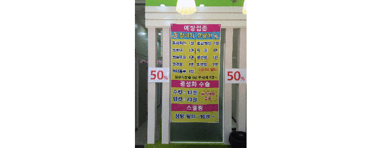 화성시 동물병원