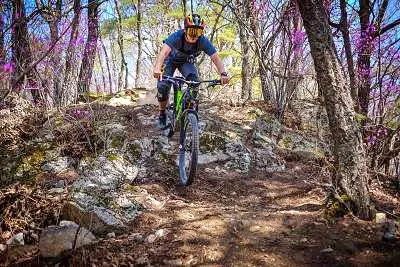 네모세모 국내 최초 개장 산악자전거 MTB 복합 파크 전문가 다운힐 크로스컨트리 가족 여행 체험 가볼만한 곳 추천