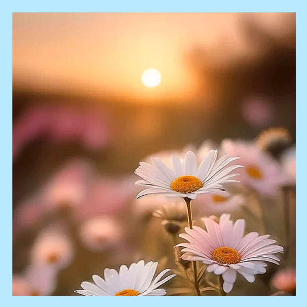 수험생-응원-격려-문구