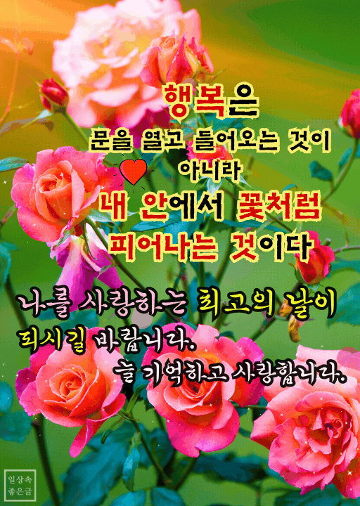 핑크빛 장미가 피어나는 배경 위에 마음을 응원하는 메시지가 담긴 이미지
