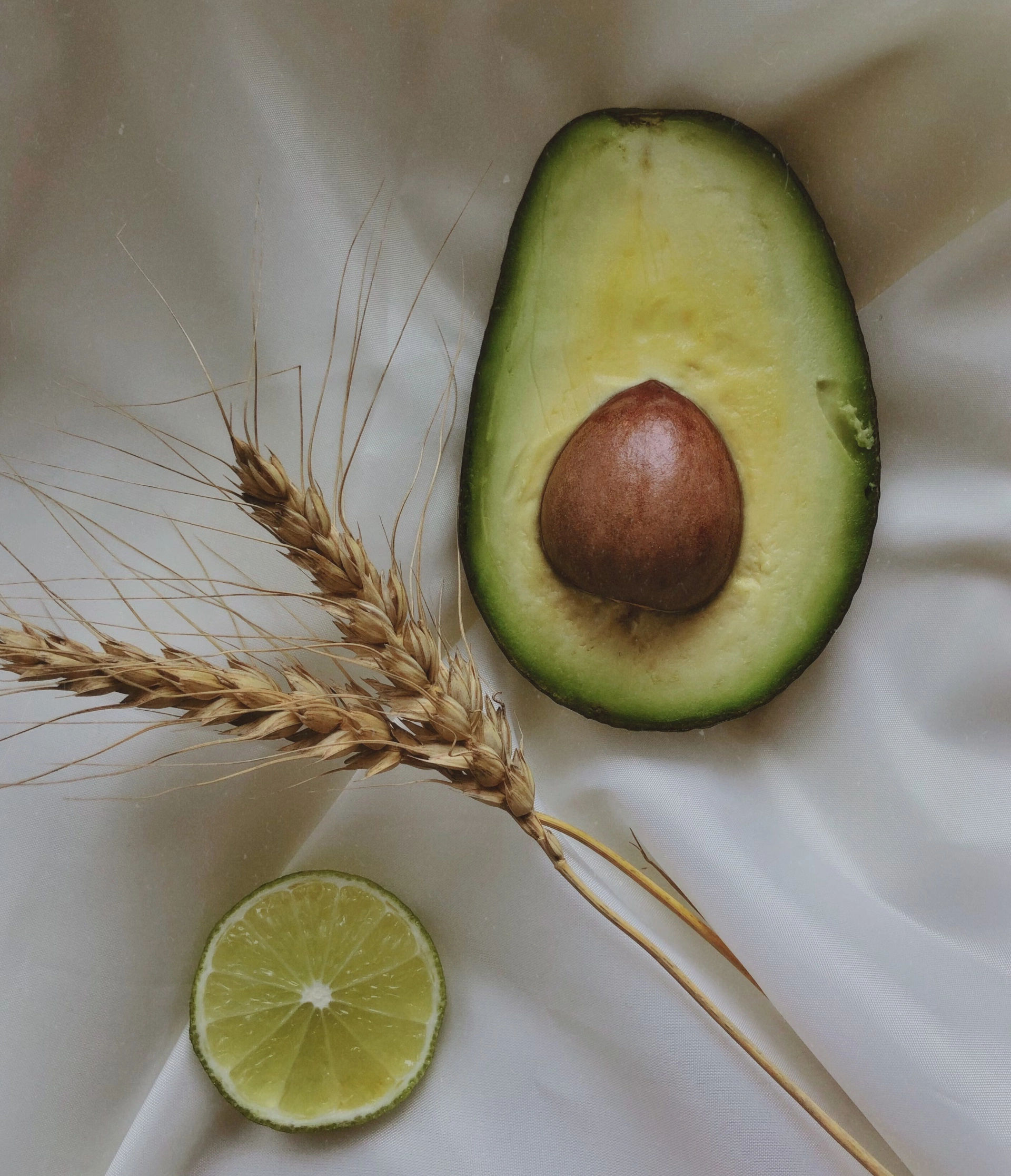 아보카도 후숙 방법