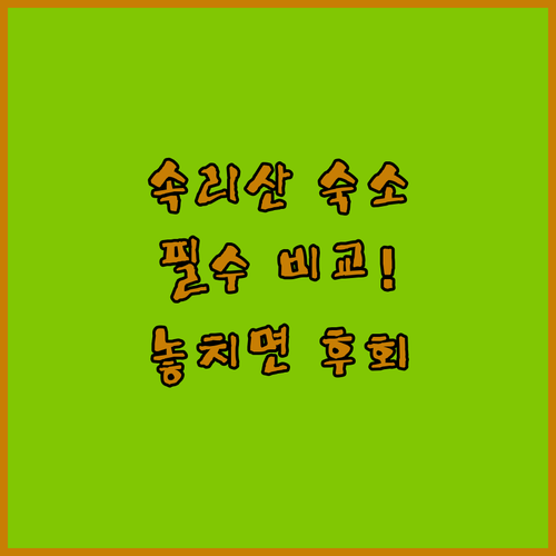 보은 속리산 여행 숙소 선택 가이드 ..