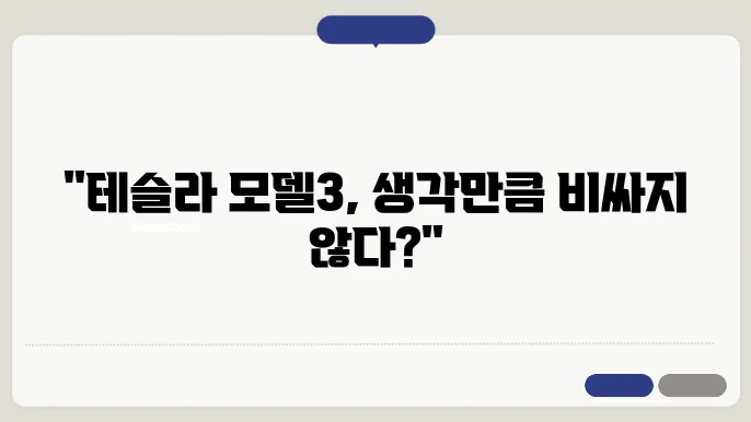 테슬라 모델3 실구매가