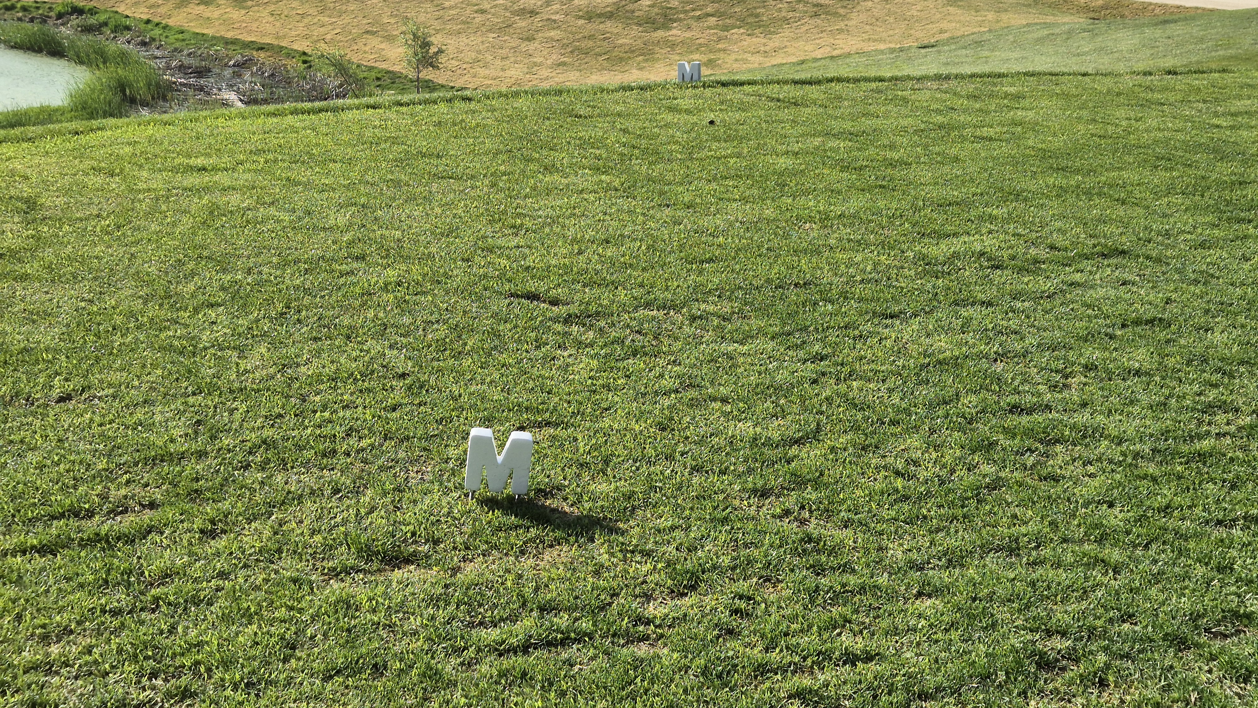 마에스트로cc 라운드 후기