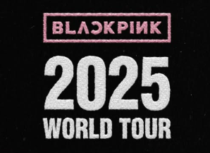 블랙핑크 콘서트