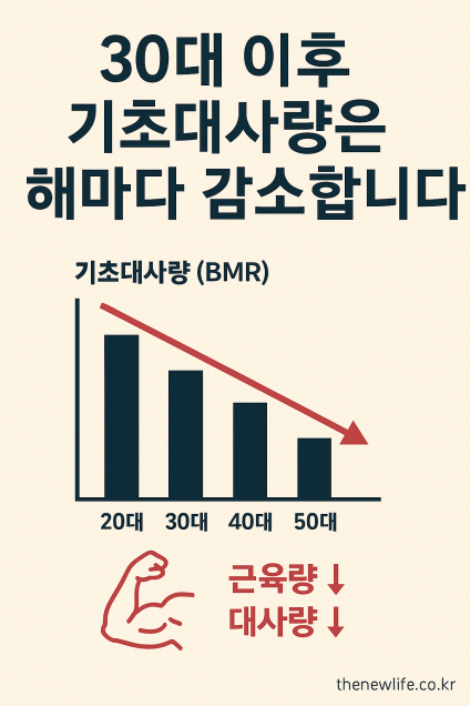“나이가 들수록 기초대사량이 감소하는 과정을 설명하는 그래프. 20대부터 50대까지의 대사량 감소를 막대그래프로 나타내고, 근육량과 대사량이 함께 줄어드는 현상을 강조한 인포그래픽 이미지.”