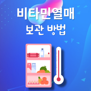 비타민열매 보관법