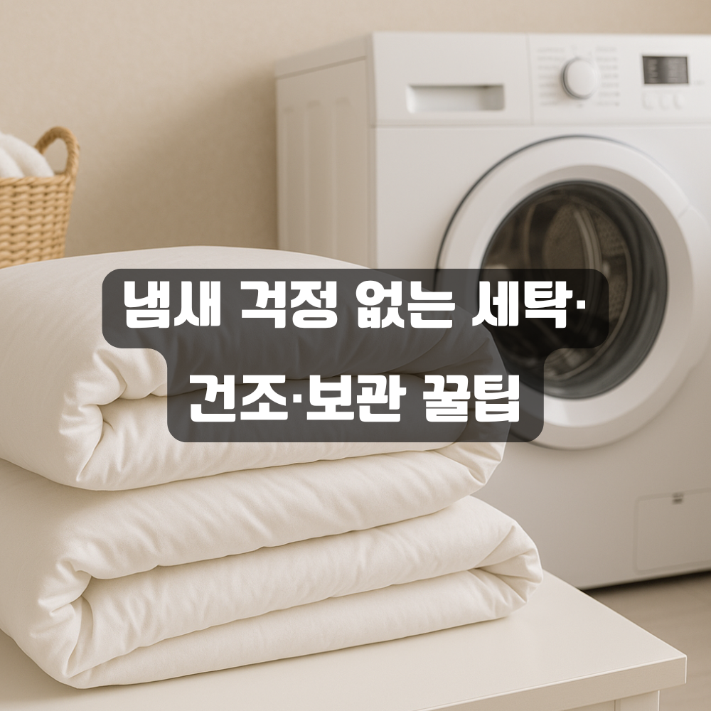 냄새 걱정 없는 세탁·건조·보관 꿀팁