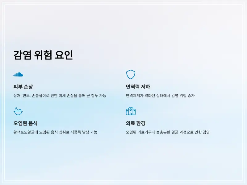 황색포도알균-4_