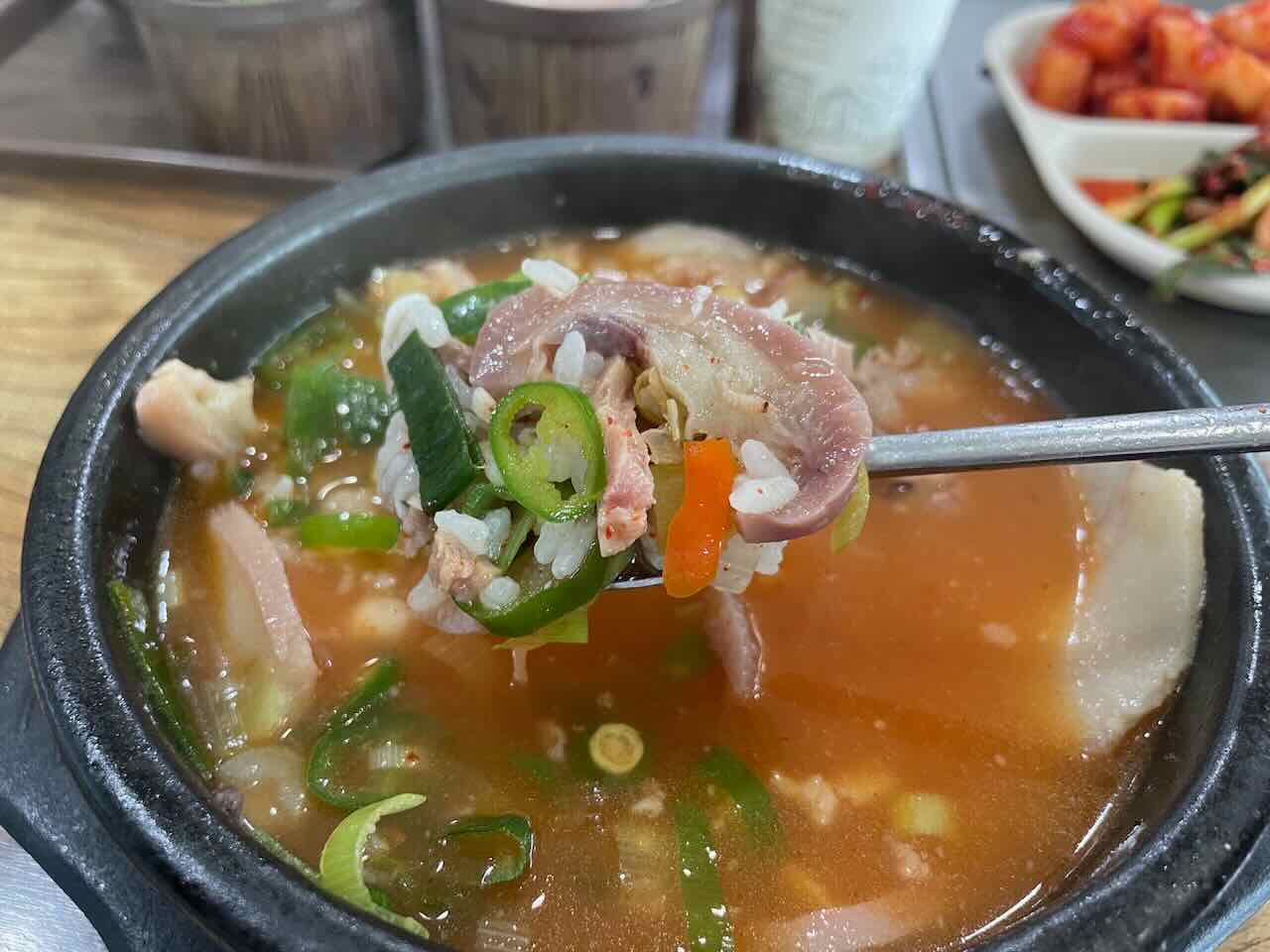 돼지국밥 한숟갈 뜬 모습